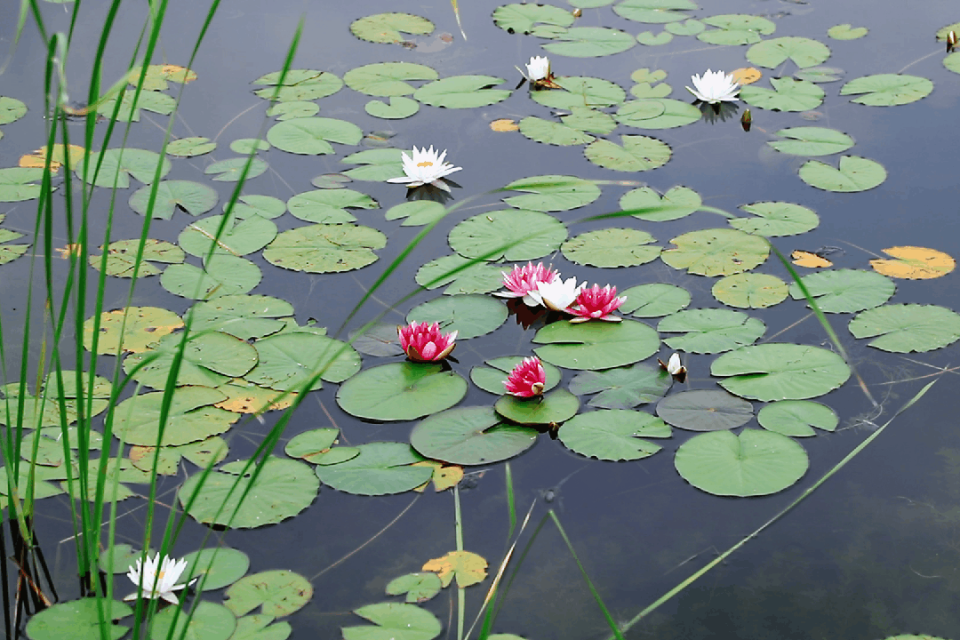 zAAA, 水声与微风 zAAA, 水声与微风